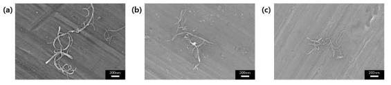 산처리 시간에 따른 MWNT의 SEM 사진 (a)10시간 (b)20시간 (c)30시간