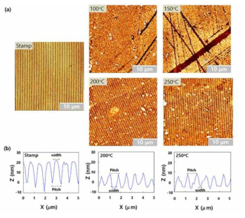 PDMS의 몰드로 패턴 전사한 ZnO 박막 AFM 이미지