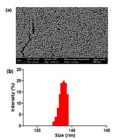 (A) PDS를 촬영한 FE-SEM 이미지 (B) PDS의 Dynamic Light Scattering (DLS) 측정 결과