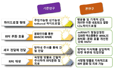 기존 연구와 본연구의 차이점