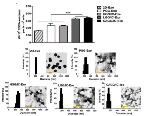 2D 및3D 배양환경에서 방출된 엑소 좀 양과 엑소좀 크기