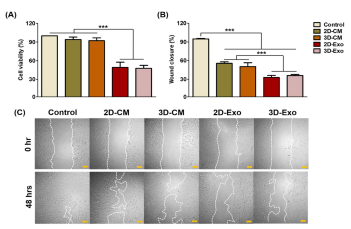 2D 및3D 배양환경에서 방출된 엑소좀을 NIH3T3 세포에 처리하였을 때의 생존력 및 세포 이동 분석