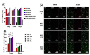 GG/SS 하이드로겔에서 (A) RPE 세포의 증식, 3일과 28일째 (B) dsDNA함량 및 (C) 세포 생존-사멸 확인