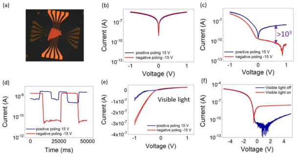 Bulk WSe2를 이용한 HZO crossbar array 분광특성. (a) WSe2(242 nm)/HZO(7 nm)/TiN(25nm) 구조의 광학 이미지, (b) light-off 일 때, HZO(7nm)/TiN(25 nm) 구조의 HZO 분극 방향에 의한 I-V 특성, (c) light-off일 때, WSe2(242 nm)/HZO(7 nm)/TiN(25 nm) 구조의 HZO 분극 방향에 의한 I-V 특성, (d) HZO의 분극 방향과 빛 유무에 따른 전류 반응, (e) light-on일 때, HZO 분극 방향에 따른 I-V 특성 변화, (f) upward 분극 방향에서의 빛 유무에 대한 I-V 특성 변화