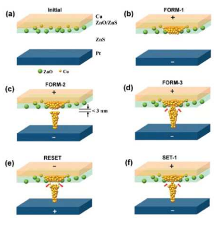 Cu/lightly oxidized ZnS(녹색층)/ZnS(백색층)/Pt 구조의 저항 스위칭 소자에서 Cu 금속 필라멘트의 형성과 파괴 모식도. 이미 형성된 Cu 금속의 cluster들이 두 박막 경계에서 연결되느 냐 끊어지느냐에 따라 Cu 금속 필라멘트 형성((f)의 SET-1 과정)되고 파괴(RESET 과정)됨을 알 수 있다. 즉 단일막 구조일 때에 비해서 겹층 구조일 때 금속 필라멘트의 형성과 파괴를 효과적으로 제어할 수 있다