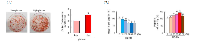 (A) 고포도당 처리에 따른 지방세포 내 지질 축적. (B) 포도당 함량이 다른 지방세포주 배양 배지의 처리 에 따른 간암세포 생존률