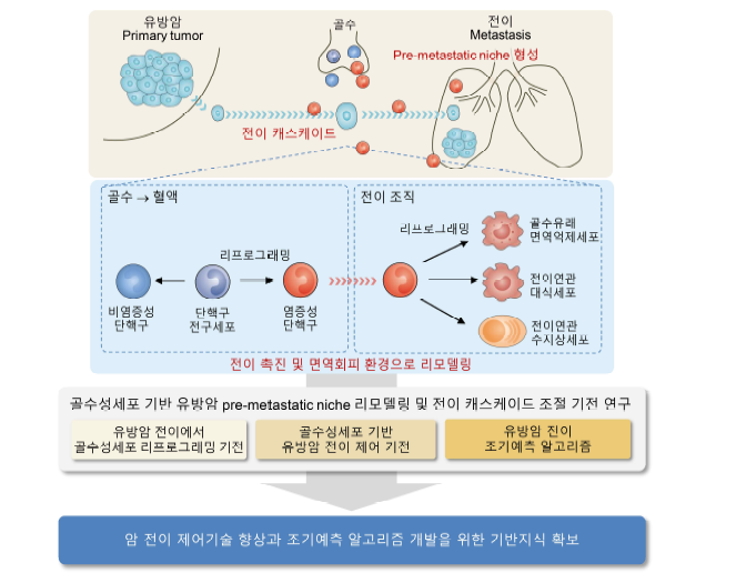 연구 개요