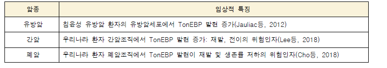 암환자 조직 및 암세포에서 TonEBP 발현