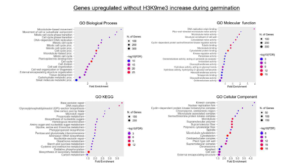 GO-analysis of genes upregulated with H3K9me3 increases during germination.