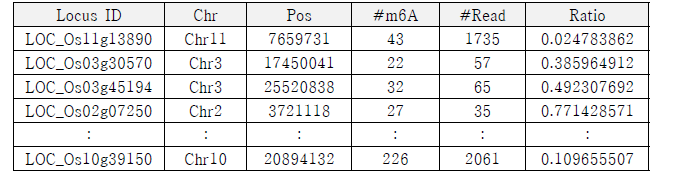 m6A 변형 유전자 목록