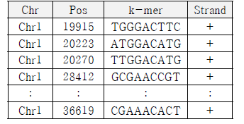 추출된 k-mer
