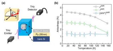 (a) THz 실험 개략도 (b) 온도에 따른 AMR의 내재적(파란색), 외재적(초록색) 기여도