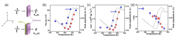 (a) THz 시간영역 분광기 실험 개략도 (b) 온도에 따른 negative 펄스 정점과 (빨간색 점) DC 전도도 (파란색 점) 온도에 따른 FeRh 전도도 변화의 (c) 내재적 (n/m*) (d) 외재적 () 요인