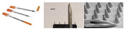 31G 인슐린 주사기와 마이크로니들의 크기 비교