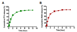 PTX와 R848을 동시 담지한 마이크로니들 용해 시 R848 (A) 및 PTX (B)의 in vitro 방출 거동