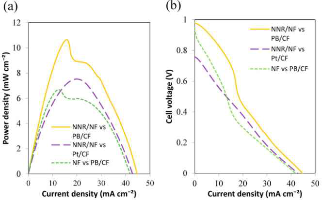 각기 다른 전극들을 이용한 Polarization curves 분석