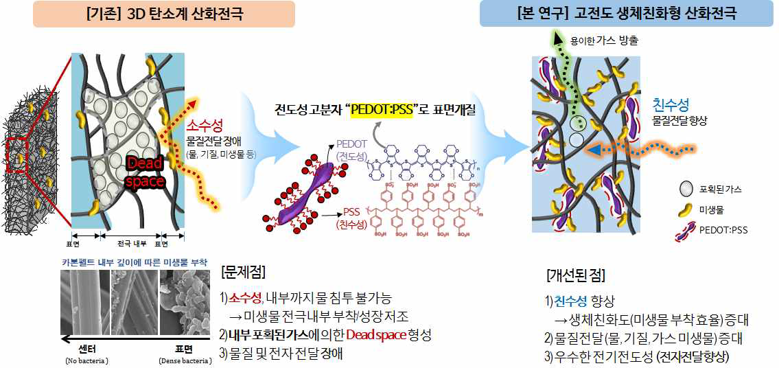 전도성 고분자 PEDOT:PSS로 표면개질된 고전도 생체친화형 산화전극 개발