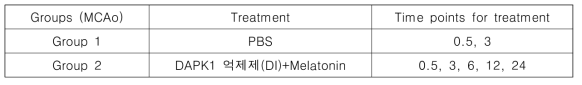 동물실험군