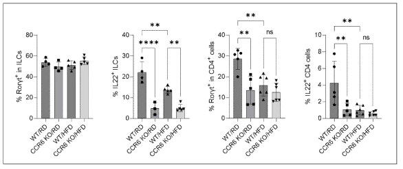 IL-22 결손 마우스 모델에서 고지방식이 섭취에 따른 IL-22 발현 면역세포 분석