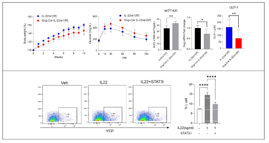 L 세포 특이적 IL-22Ra1 결핍에 따른 GLP-1 발현 감소