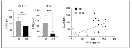 고지방식이 유도 IL-22 감소에 따른 GLP-1 생성/분비 감소