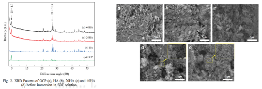 OCP, HA 합성 XRD 결과 및 분해 거동 평가 이미지 [6].