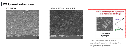 PVA, 10wt%TCP를 첨가한 PVA 의 표면 이미지.
