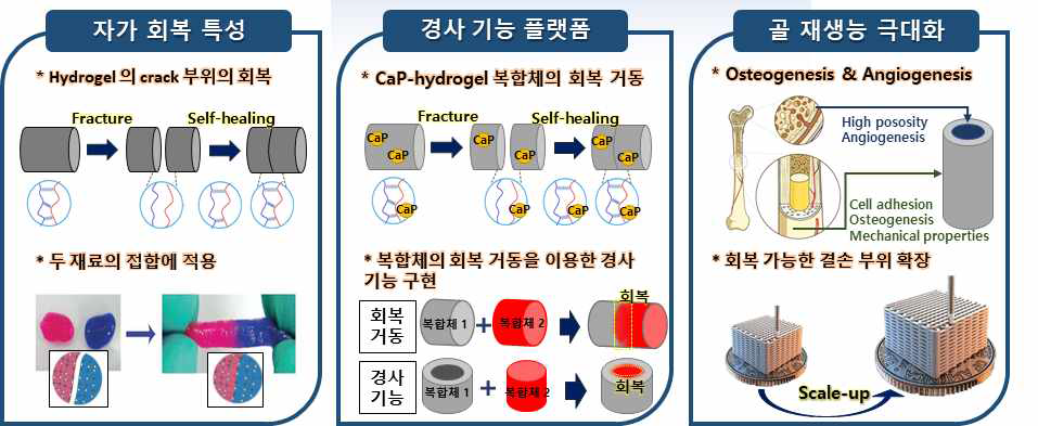 전체 연구 목표 [3].