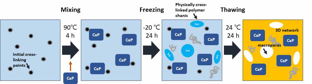 본 연구에서 실시한 Hydrogel-칼슘 포스페이트 복합재료 제조 방법.