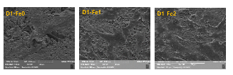 Fe 이온을 치환한 beta-tricalcium phosphate의 세포 흡착 거동.