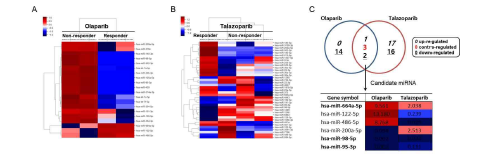 Small RNA sequencing clustering 결과