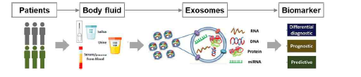 엑소좀 기반 바이오마커