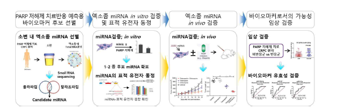 연구개발 수행 과정