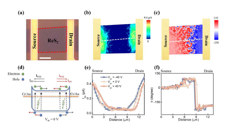 (a) ReS2 device 광학사진. Photocurrent (b) 크기, (c) 위상, (d) photocurrent 흐름도 (e) 그 림 (b)의 와 (f) 그림 (c) line profile.