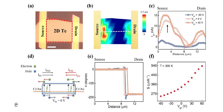 2D Te (a) 광학사진, photocurrent (b) intensity, (c) phase, (d) photocurrent 방향, (e) intensity, (f) phase line profile