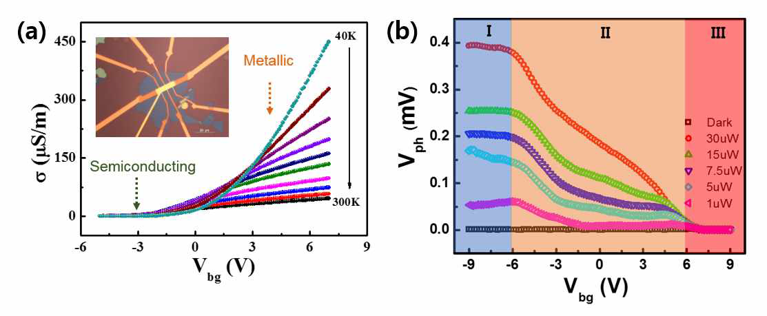 (a) 단일층 MoS2 FET의 온도 및 gate 전압에 따른 전기 전도도 변화와 도체-부도체 상변화 특성. (b)단일층 MoS2 FET의 gate 전압에 따른 광전압 변화.