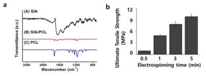 (a) FTIR spectroscopy of SF/PCL nanofiber scaffold (b) Ultimate tensile strength of nanofiber scaffold depending on the electrospinning time