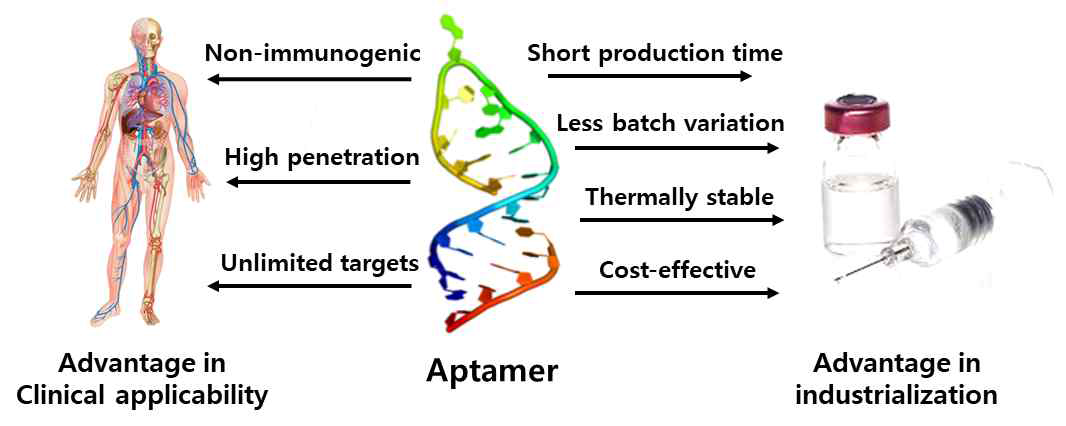 앱타머를 이용한 산업화의 다양한 장점