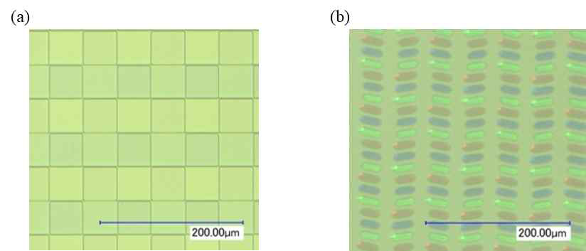 (a) 3상 Phase plate와 (b) 진폭패널 현미경 계측 이미지