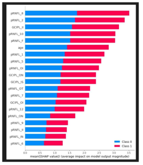 SHAP analysis of features for machine learning