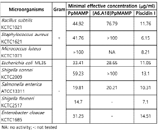 PpMAMP와 유도체의 항균 활성