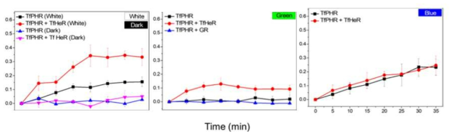 TfHeR에의한 TfPHR DNA손상 복구 활성 분석