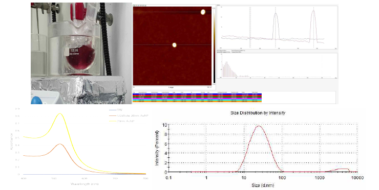금 나노입자 제작 모습과 AFM과 UV-spectroscopy, 및 DLS 검증 결과