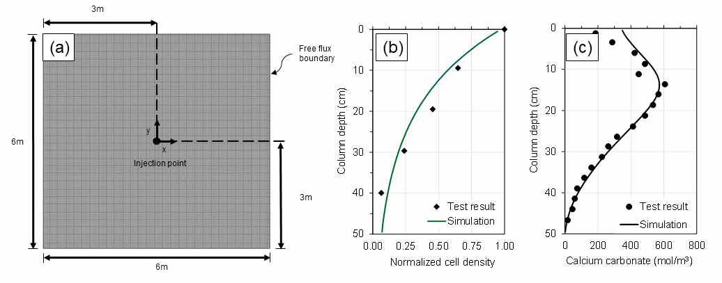 (a) H-M-B-C 해석을 위한 지반 모사, (b) 미생물 흡착 모델 검증, (c) 탄산염 고결 반응 모델 검증.