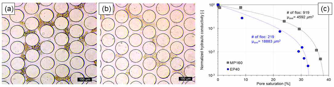 공극 내 바이오폴리머 생성 패턴: (a) EIBF공법에 의한 바이오폴리머 생성 이미지와 (b) MIBF공법에 의한 바이오폴리 머 생성 이미지, (c) 투수계수 감소 결과.