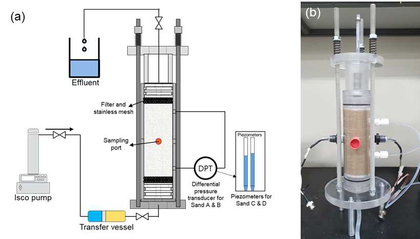 바이오미네랄 생성에 따른 사질토의 투수계수 측정 실험 장비: (a) 실험 모식도와 (b) 실제 시료 사진.