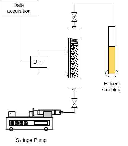 공극 내 바이오폴리머 생성에 따른 사질토 지반의 투수계수 측정 실험 모식도.