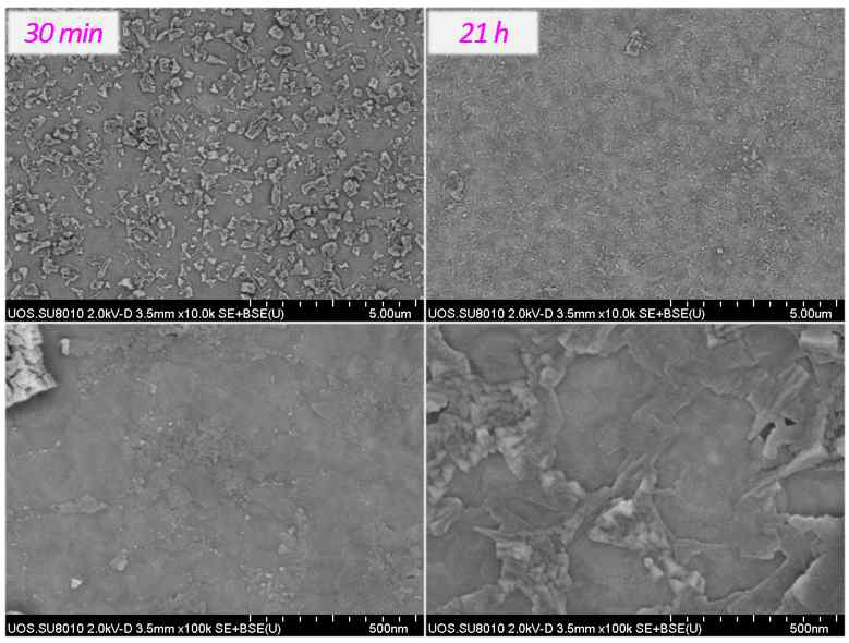 MXene Drop coating SEM