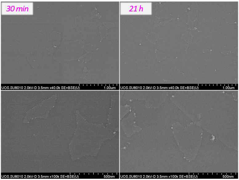 MXene spin coating SEM