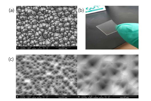 (a) Textured Si wafer의 표면, (b), (c) PDMS를 이용 해 만든 textured chemical bath 이미지 및 표면 SEM 이미지